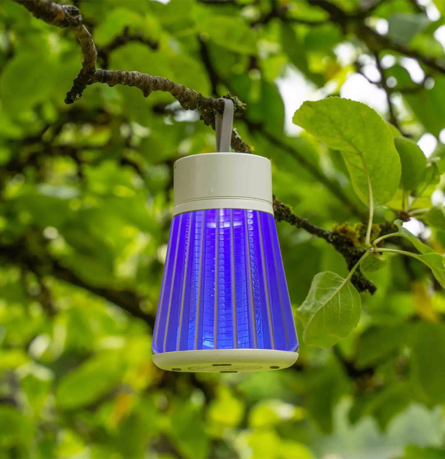 SimplyZap Mosquito Lamp hanging from a tree branch outdoors, glowing blue among green leaves