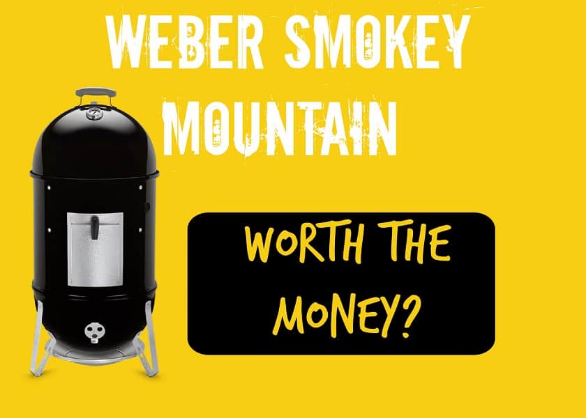 Weber Smokey Mountain Worth the Money