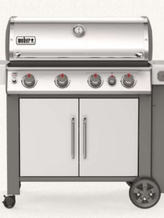 Weber Summit S 470 Review {2021, Not Worth the Money} Story